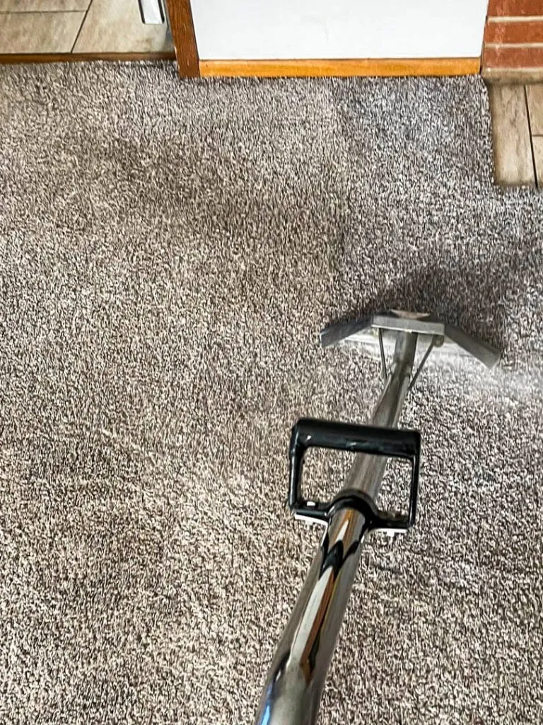 Photo of a residential carpet being hot steamed cleaned