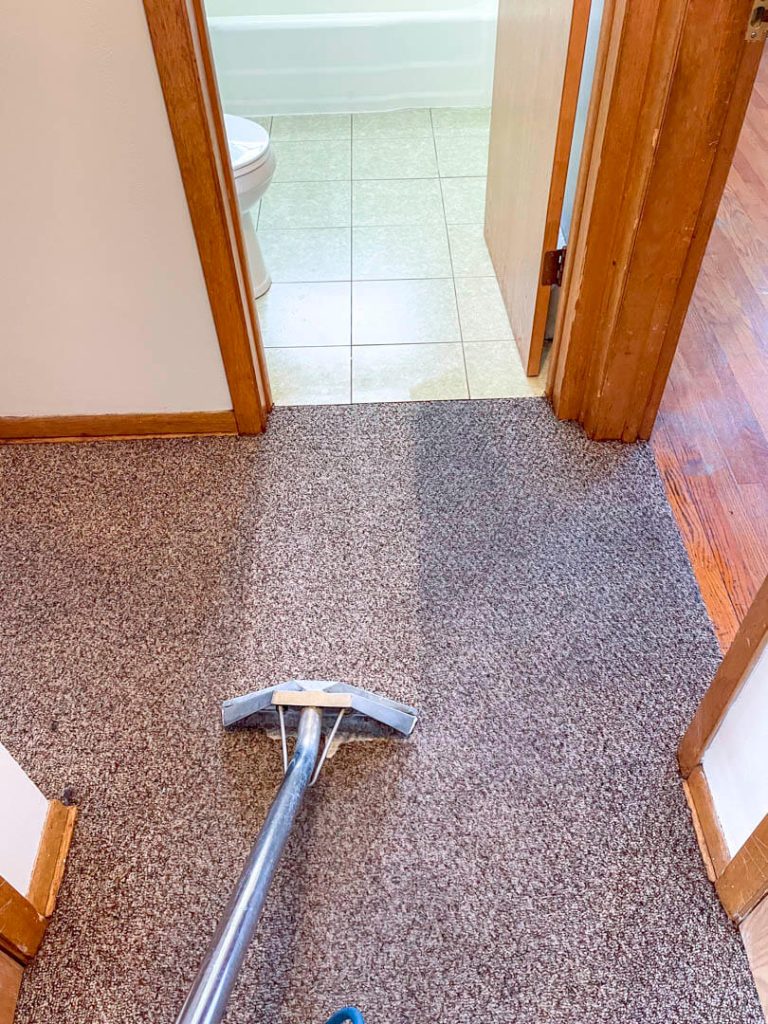 Photo of a residential carpet being hot steamed cleaned