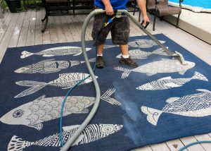Photo of a blue rug with fish patterns being hot steamed cleaned